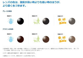 HOYARFスポーツ調光レンズ、サンテックオークリーナイキのレンズ交換に!HOYA内面非球面1.67スポーツグラス向け、プリズム補正レンズUVカット、撥水加工(2枚価格)
