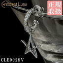 クーポン ¥14,300→¥14,000で購入可能 CrescentLuna クレセントルナ ギフト ピアス エストレッラフガーツピアス ESTRELLA FU...