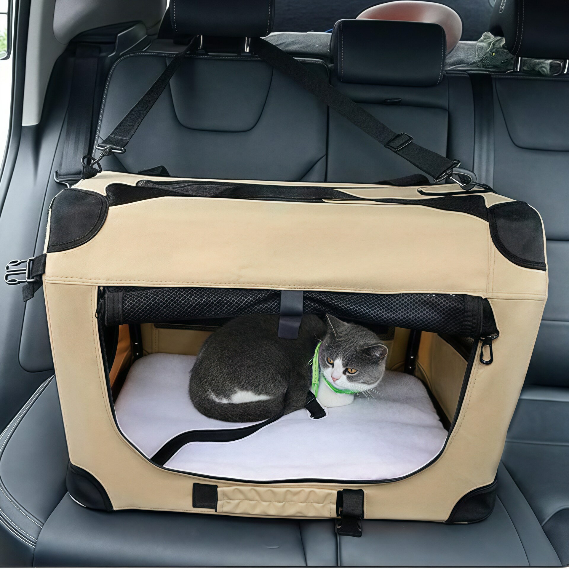 ペットキャリーバッグ ドライブボックス スチール製コンテナ 軽量 折りたため 猫用キャリーバッグ 犬用..