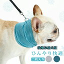 ひんやりペット服 犬服 二枚セット クールタオル 涼感 首輪 犬用猫用 クールネック チョーカー 接触冷感 ペット用バンダナ 冷感タオル 涼感ネッククーラー ド...