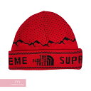 Supreme×THE NORTH FACE 2018AW Expedition Fold Beanie シュプリーム×ノースフェイス エクスペディションフォールドビーニー ロゴ ニットキャップ ニット帽 レッド