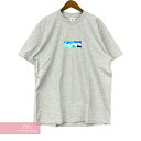 Supreme×Emilio Pucci 2021SS Box Logo Tee シュプリーム×エミリオプッチ ボックスロゴTシャツ 半袖カットソー プリント グレー×ブルー サイズL