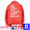 COMME des GARCONS×Lewis Leathers 2015aw LIGHTNING LIVE FREE DIE STORONG コムデギャルソン ×ルイスレザー バックロゴレザージャケット 革ジャン ライダースレザージャケット ペイント レッド サイズ34 【200905】【中古-A】【me04】