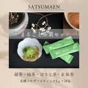 まるごと茶葉三昧セット 紅抹茶・抹茶・ほうじ茶・緑茶 (各種1g×10包)結婚式引き出物 挨拶 内祝い お見舞い 手土産 お歳暮 ギフト プレゼント 贈り物 ご挨拶 快気祝い お取り寄せ 高級ギフト 産地直送 地場産品 ご当地商品 宮崎県お取り寄せ 母の日 敬老の日 香典返し