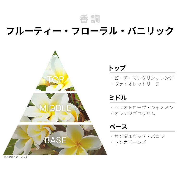 香水 AIGNER アイコン EDP・SP 100ml 【送料込み】【フレグランス ギフト プレゼント 誕生日 レディース・女性用】【ICON EAU DE PARFUM SPRAY】