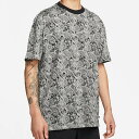 NIKE ナイキSB スケートTシャツ [サイズ：US S] [カラー：ペイズリー] #DN7303-133 【送料込み(沖縄・離島を除く)】【スポーツ・アウトドア アウトドア ウェア】