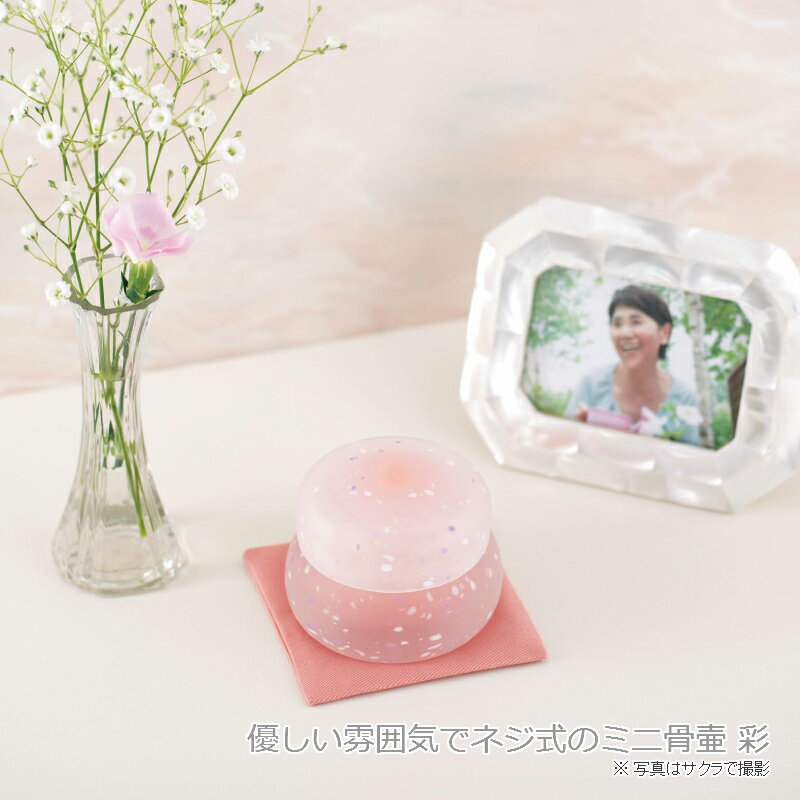 Sai �̡���٥���� ���� ���� �긵�����ѥǥ�������� Ǽ������ ��Ȣ��