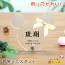 命名書 ねずみ オーダーメイド 名入れ かわいい おしゃれ スタンド フォトフレーム 写真立て 送料無料 出産祝い 内祝い 赤ちゃん 命名 出産 誕生 記念 バ...