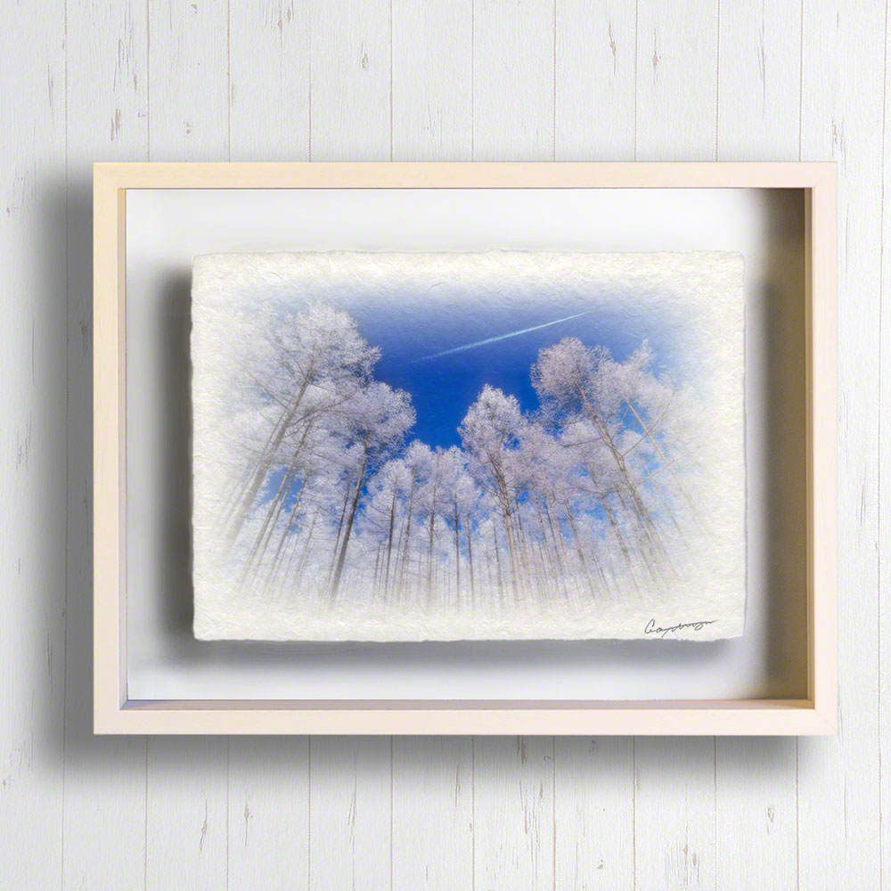 和紙 アート 絵画 インテリア 冬 白 「青空と見上げるカラマツの樹氷」 71x56cm 絵画 額入り クリスマス 飾り 壁 壁掛け クリスマス ツリー クリスマス おしゃれ 飾り クリスマス 和 誕生日プレゼント 女友達 ギフト 母 プレゼント 誕生日 誕生日プレゼント 母 50代