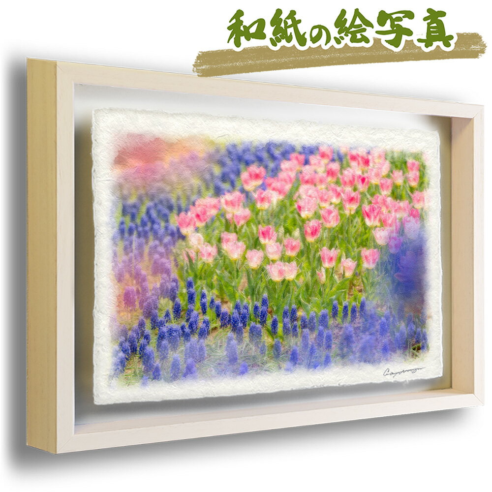 和紙の絵写真 額縁付き 83x63cm 春 花 「青いムスカリとピンクのチューリップの花畑」 絵画 額入り アートフレーム 壁掛け 玄関 絵 雑貨 飾り インテリア アートパネル モダン 自然 新築祝い プレゼント 友人 結婚祝い 花の絵