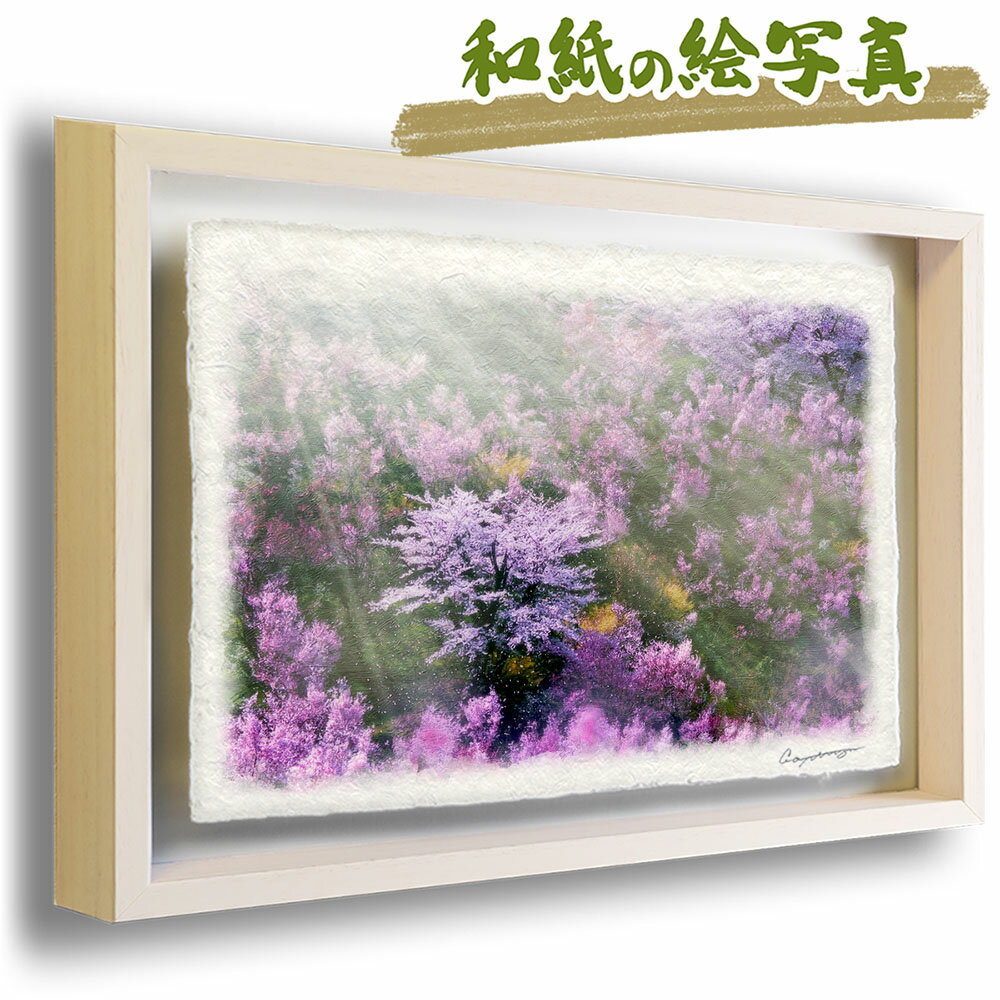 和紙の絵写真 額縁付き 71x56cm 花 春 ピンク 「春の花木に囲まれたソメイヨシノ」 絵画 額入り アートフレーム インテリア 油絵 風景画 風水 絵 玄関 壁掛け 壁 飾り 雑貨 和風 花の絵