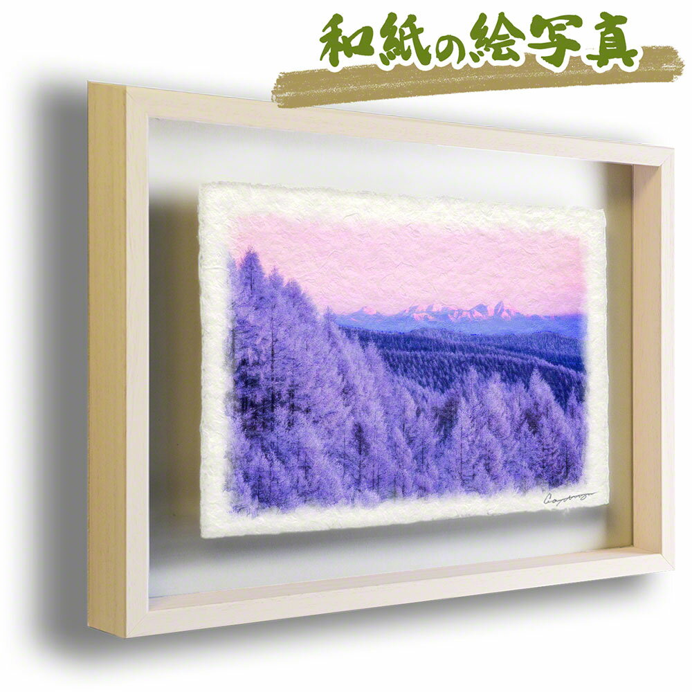 和紙の絵写真 額縁付き 62x44cm 冬 木 森 紫 「朝焼けの北信の山々とカラマツの樹氷林」 絵画 額入り アートフレーム インテリア 油絵 風景画 風水 絵 玄関 壁掛け 壁 飾り 雑貨 和風 山の絵