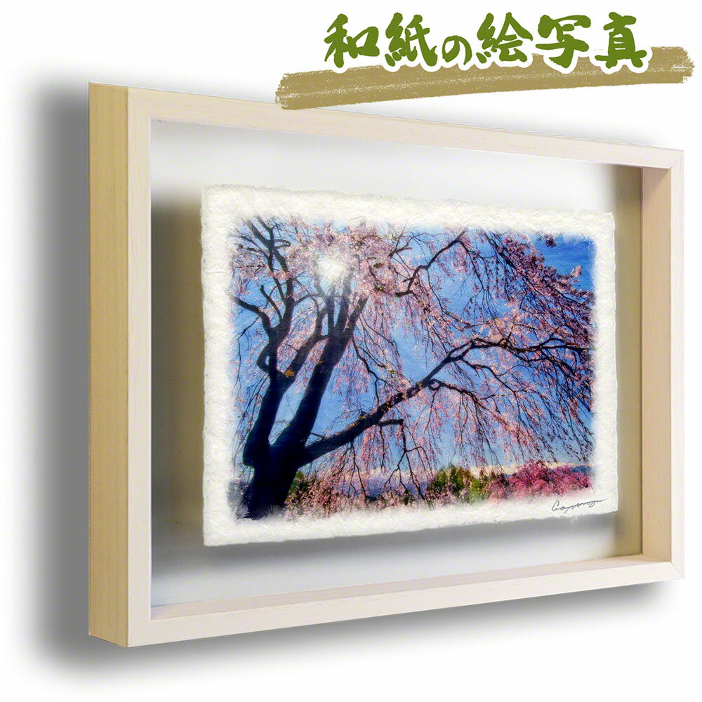 和紙の絵写真 額縁付き 83x63cm 花 春 ピンク 「見上げるしだれ桜と残雪の北アルプス」 絵画 額入り アートフレーム インテリア 油絵 風景画 風水 絵 玄関 壁掛け 壁 飾り 雑貨 和風 花の絵