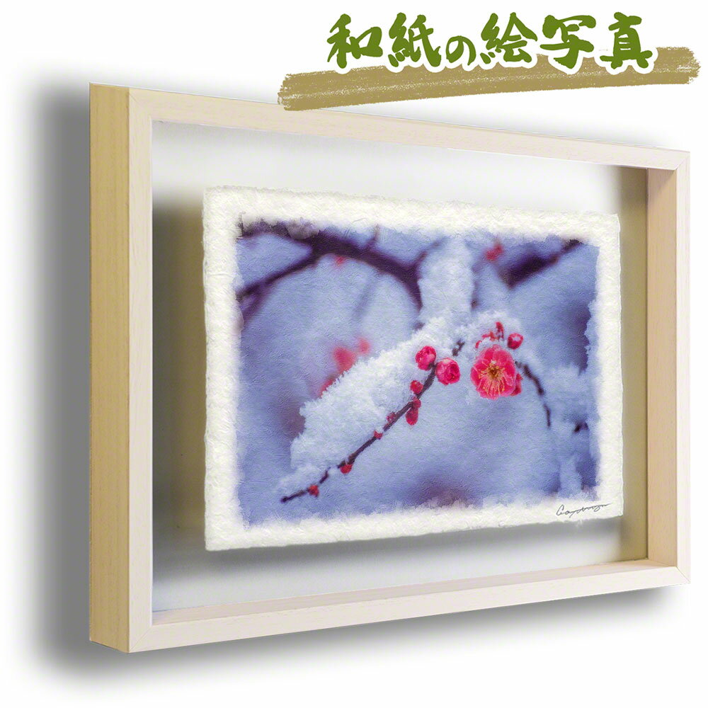 和紙の絵写真 額縁付き 71x56cm 花 冬 ピンク 「雪が積もった紅梅の枝」 絵画 額入り アートフレーム インテリア 油絵 風景画 風水 絵 玄関 壁掛け 壁 飾り 雑貨 和風 花の絵