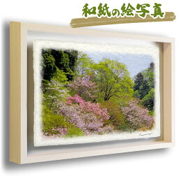 和紙の絵写真 額縁付き 53x38cm 春 花 木 森 ピンク 「山桜の中の新緑の木」 絵画 額入り アートフレーム インテリア 油絵 風景画 風水 絵 玄関 壁掛け 壁 飾り 雑貨 和風 山の絵 花の絵