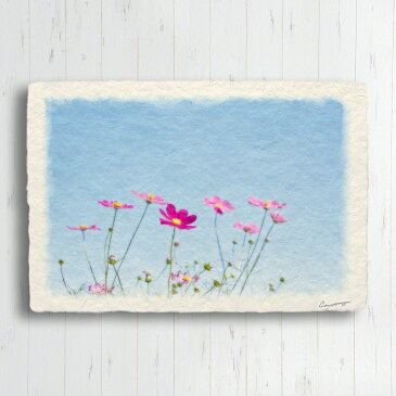 和紙 ポストカード 花 赤 秋 「青空と赤いコスモス」 15x10cm