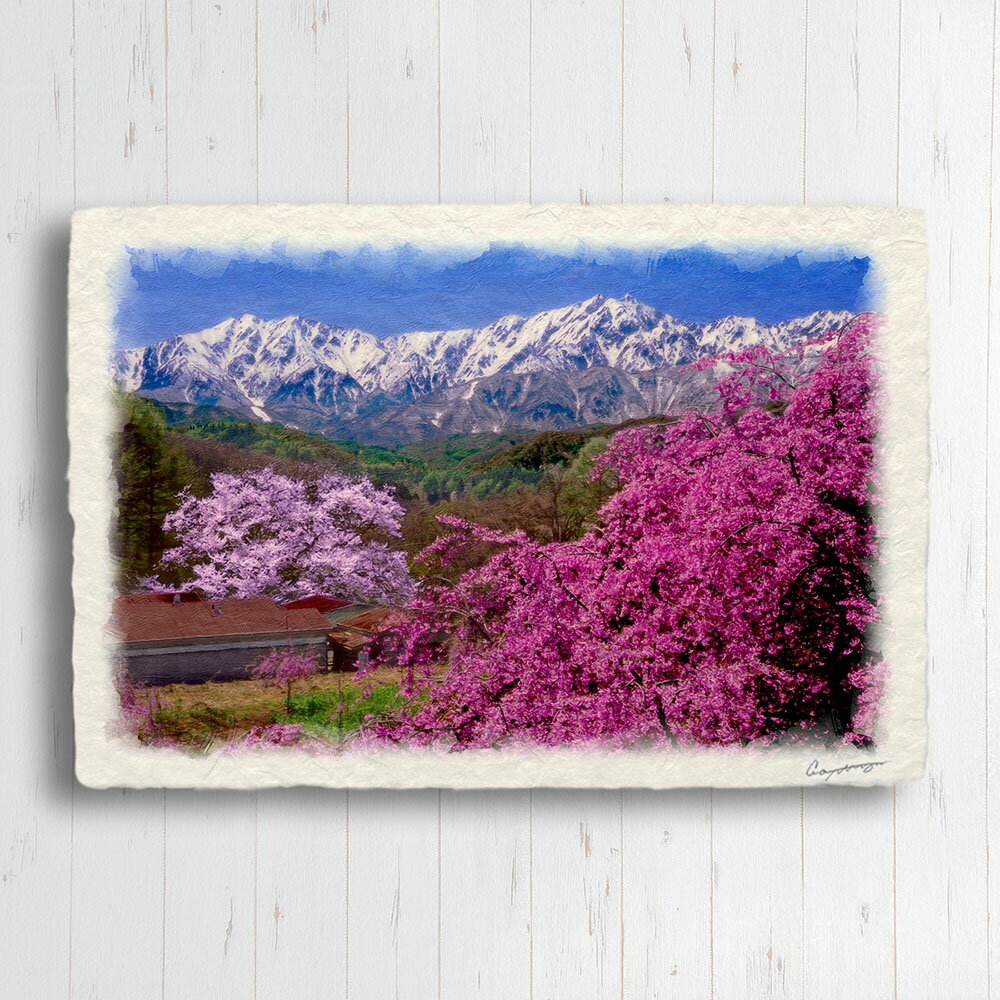 和紙 アートパネル 花 春 ピンク 「残雪の北アルプスと染井吉野と紅枝垂れ桜」 30x21cm
