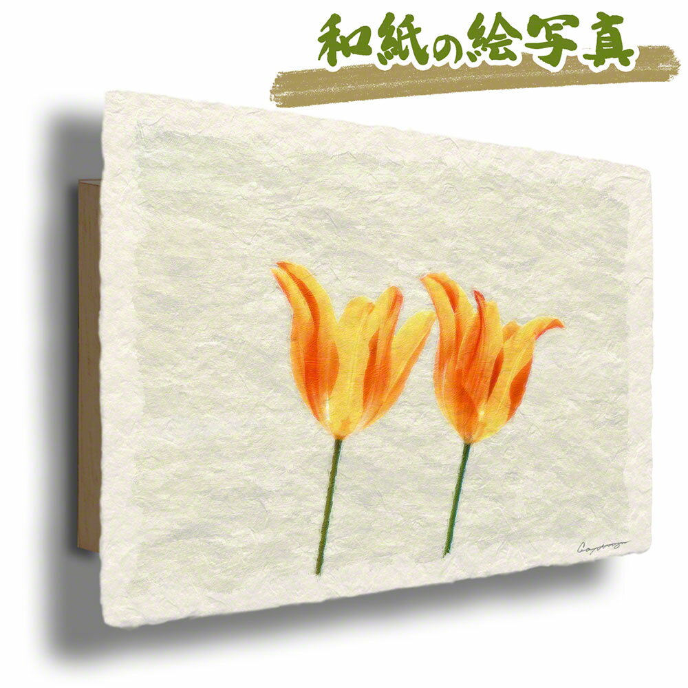 人気絶頂 和紙 アートパネル 花 春 黄色 透けるオレンジ色のチューリップ 48x33cm 再再販 Tunisiecnc Tn