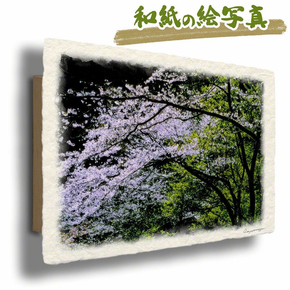 和紙の絵写真 48x33cm アートパネル 花 春 ピンク 「山陰で輝く山桜の花と新緑の若葉」 絵画 壁掛け 玄関 絵 和風 インテリア 雑貨 飾り ポスター ウェルカム ボード インテリアアートパネル おしゃれ モダン 自然 新築祝い プレゼント 友人 ウォールアート 花の絵