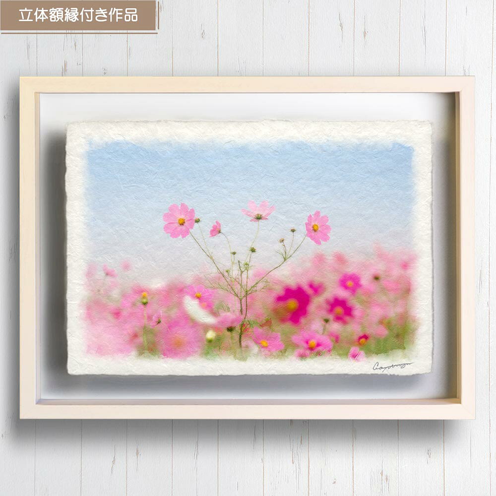 真作】 「コスモス」 大野純一 油彩 SM号 絵画 ③ 真作 「コスモス