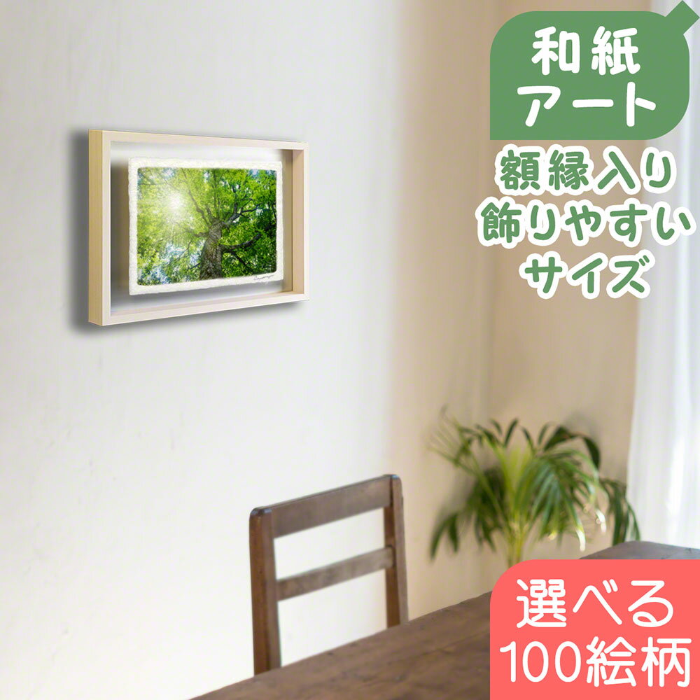 �»� �۱��դ�