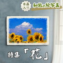 風水 絵画 玄関 おすすめ 開運 金運 インテリア グッズ 運気が上がる絵 水晶 玄関 に 飾る 絵 画 アートパネル 開運絵画 トイレ 風水画 風水 に 良い...