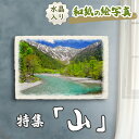 風水 絵画 玄関 おすすめ 開運 金運 インテリア グッズ 運気が上がる絵 水晶 玄関 に 飾る 絵 画 アートパネル 開運絵画 トイレ 風水画 風水 に 良い...