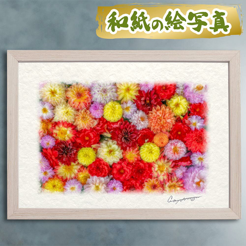 玄関に飾ると運気が上がる絵画 和紙の絵写真 「一面のダリアの花(赤黒)」 風水 絵画 玄関 おすすめ 玄関 絵 開運 金…
