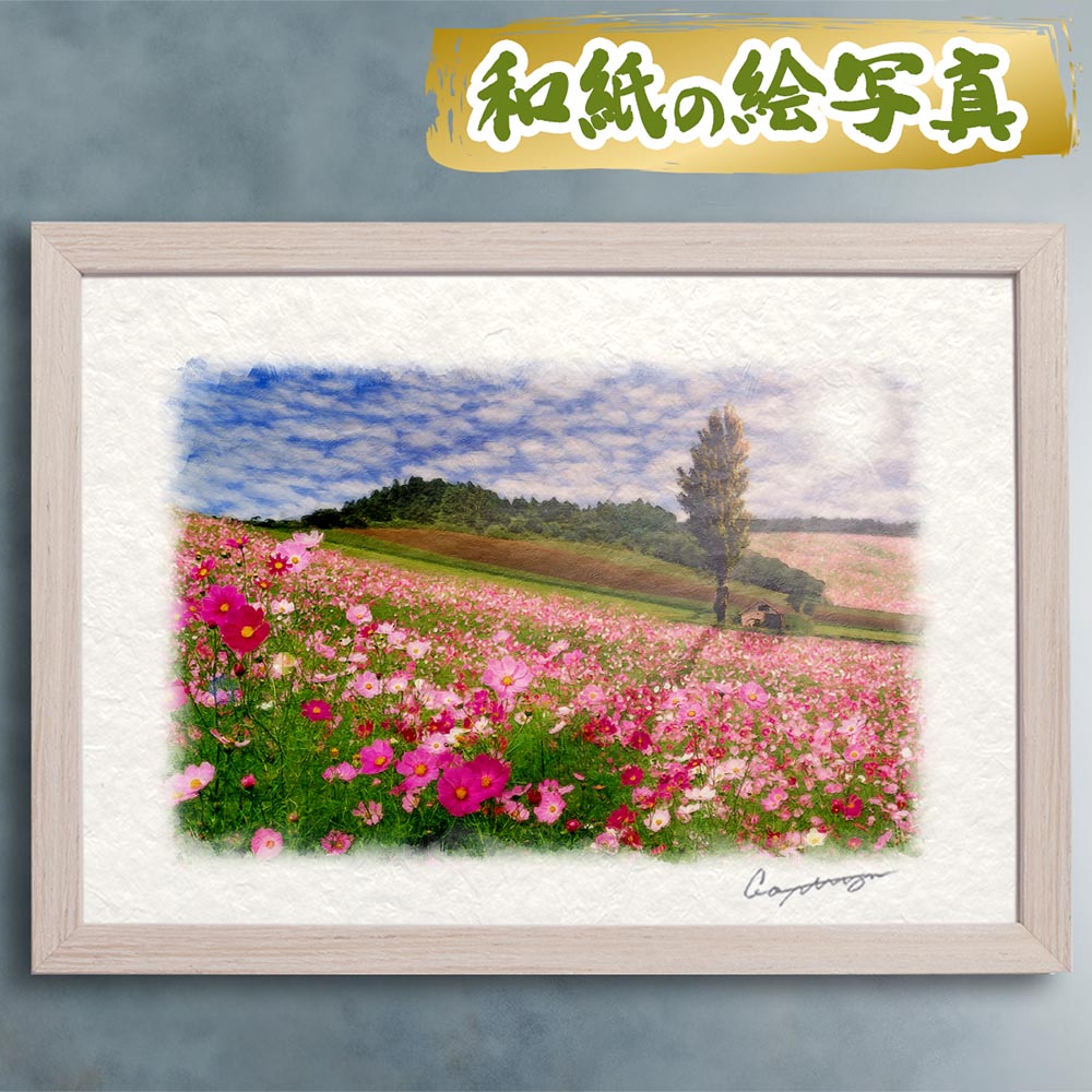 玄関に飾ると運気が上がる絵画 和紙の絵写真 「太陽とコスモス畑のポプラの木」 風水 絵画 玄関 おすすめ 玄関 絵 開運 金運 インテリア 絵 アートパネル 風景画 おしゃれ 壁掛け トイレに飾る絵 秋 ピンク 丘 花の絵 出産祝い