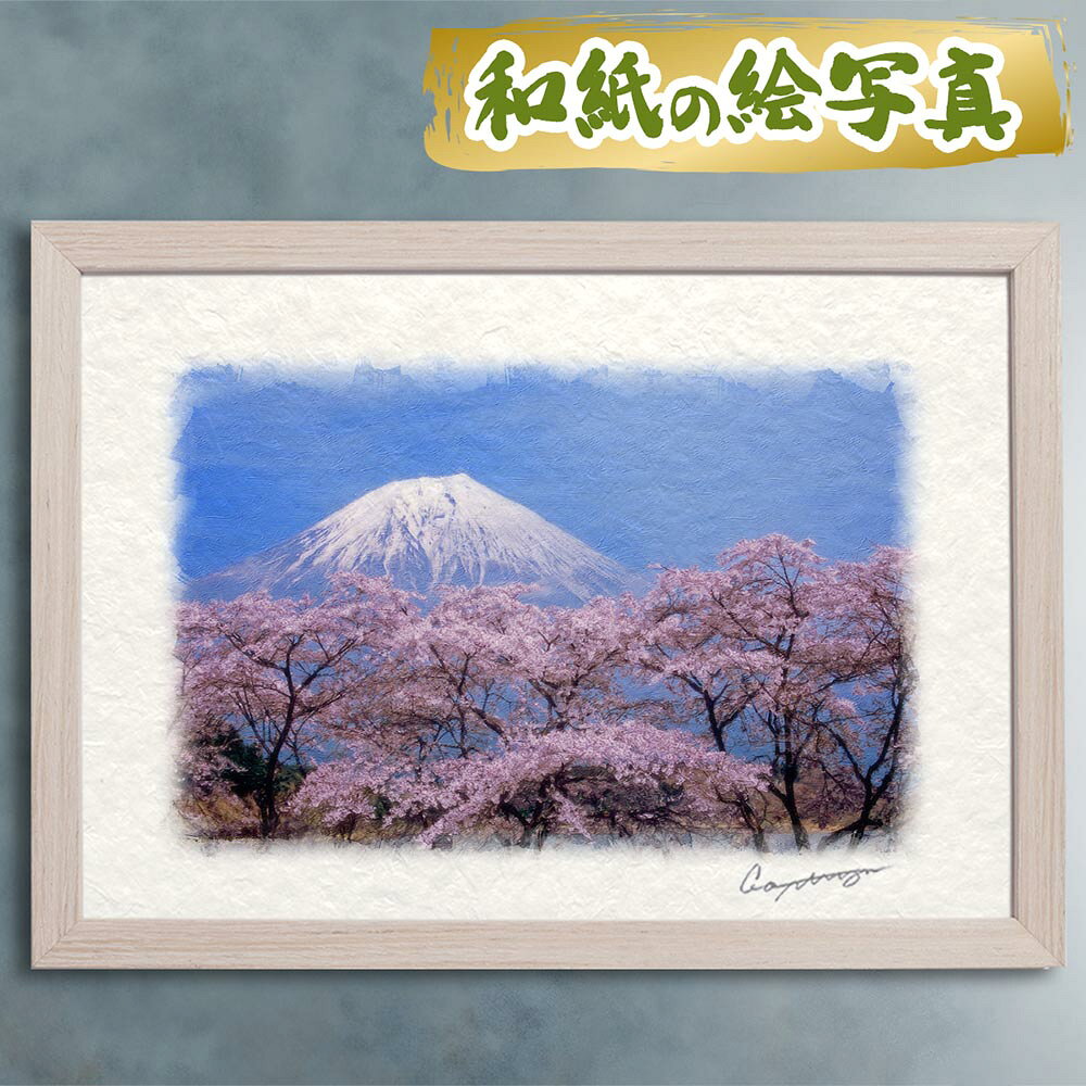 tph-fuji-sakura.jpg
