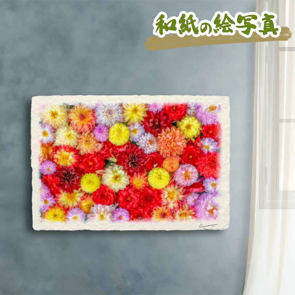 風水 絵画 玄関 おすすめ 開運 金運 インテリア グッズ 運気が上がる絵 水晶 玄関 に 飾る 絵 画 アートパネル 開運絵画 トイレ 風水画 風水 に 良い 絵 画 壁掛け 風景画 和紙の絵写真 「一面のダリアの花(赤黒)」 秋 花の絵 花手水 敬老の日