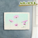 風水 絵画 玄関 おすすめ 開運 金運 インテリア グッズ 運気が上がる絵 水晶 玄関 に 飾る 絵 画 アートパネル 開運絵画 トイレ 風水画 風景画 和紙の絵写真 「薄青空に透けるピンクのコスモス」 秋 ピンク 花の絵 敬老の日 母の日