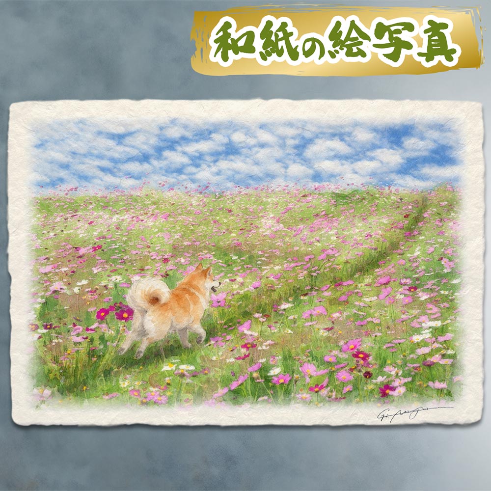 Rakuten - 絵 風水 絵画 玄関 おすすめ 運気が上がる絵 インテリア アートパネル 風景画 おしゃれ 開運 金運 トイレ 玄関 に 飾る 絵 画 壁掛け 秋 ピンク 花 和紙の絵写真 「秋田犬とコスモスの花畑の道」