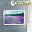 風水 絵画 玄関 おすすめ 開運 金運 インテリア グッズ 運気が上がる絵 水晶 玄関 に 飾る 絵 画 アートパネル 開運絵画 トイレ 風水画 風水 に 良い...