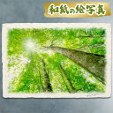 絵画 絵 玄関 に 飾る 絵 画 インテリア アートパネル 風景画 おしゃれ 壁掛け 夏 緑 木 森 父の日 お中元 新築祝い 和紙の絵写真 昇龍 「太陽に伸びる新緑のブナの木」風水 絵画 玄関 おすすめ 開運 金運 グッズ 運気が上がる絵 開運絵画 トイレ