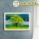 絵画 絵 玄関 に 飾る 絵 画 インテリア アートパネル 風景画 おしゃれ 壁掛け 春 花の絵 木 森 川 湖 黄色 引っ越し祝い 新築祝い 母の日 父の日 ...