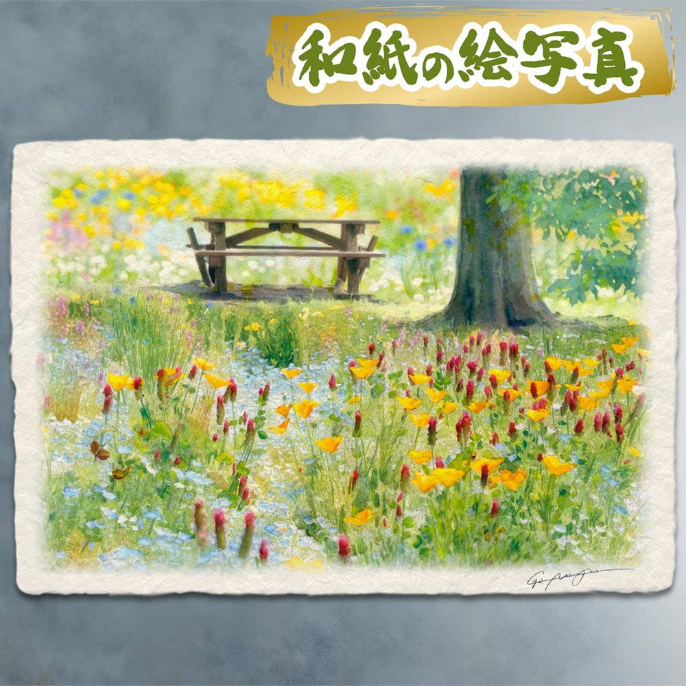 �� ���� ���� ���� �������� �������夬�볨 ����ƥꥢ �����ȥѥͥ� ���ʲ� ������� ���� �Ɀ �ȥ��� ���� �� ���� �� �� �ɳݤ� �� �� �֤γ� ...