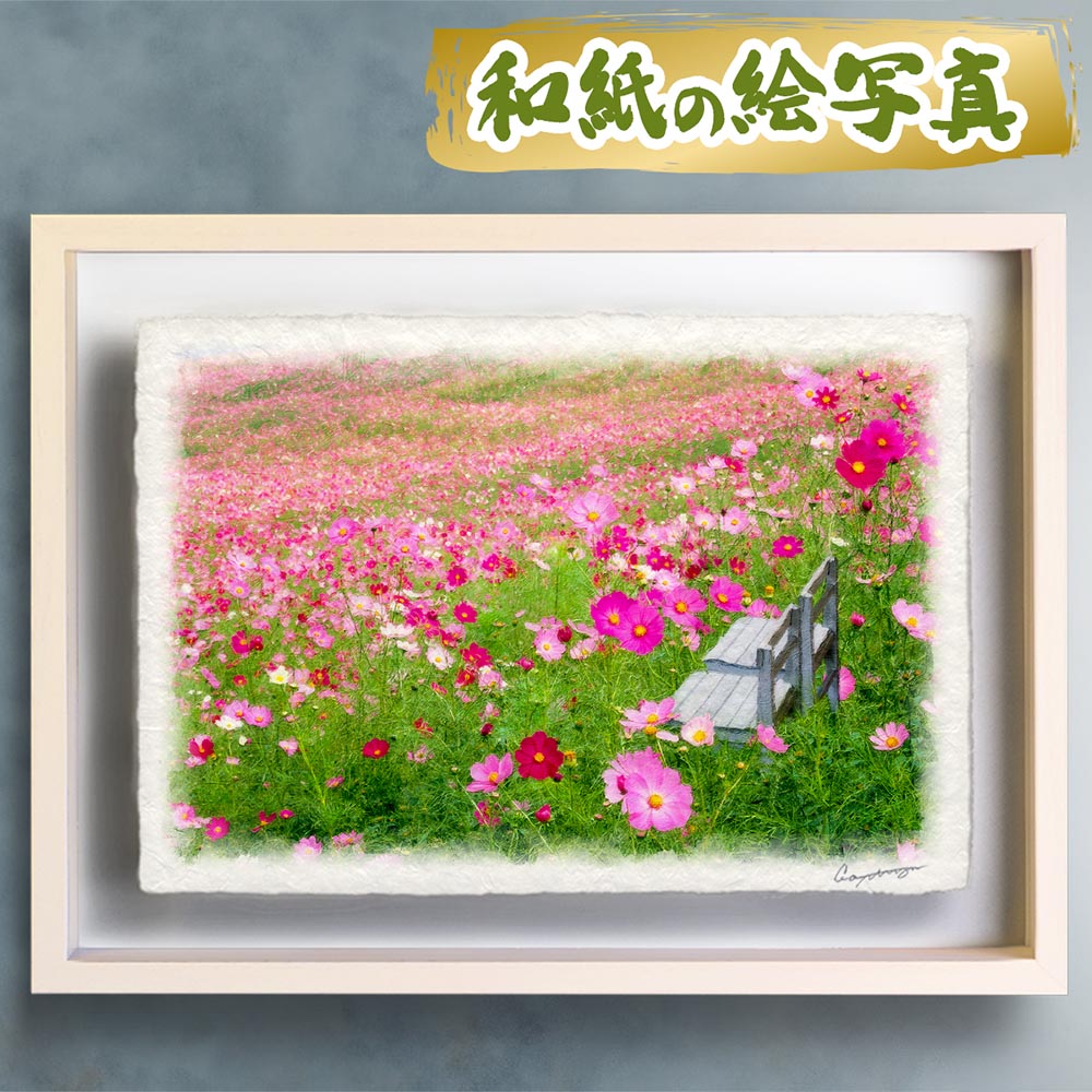 楽天市場】コスモス 絵画（横幅（cm）50 ～ 59.9）（絵画｜アート