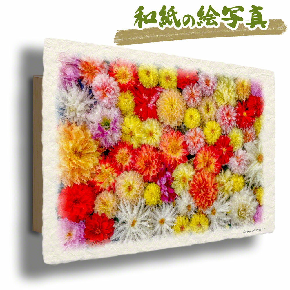 和紙の絵写真 「一面のダリアの花(オレンジ)」 運気が上がる絵 風水 絵画 玄関 おすすめ 風水 トイレ 絵画 玄関 開運 絵画 金運 風水 に 良い 絵 寝室 トイレ に 飾る 絵 画 風景画 壁掛け 玄関 インテリア 雑貨 アートパネル モダン 和室 花 秋 花の絵