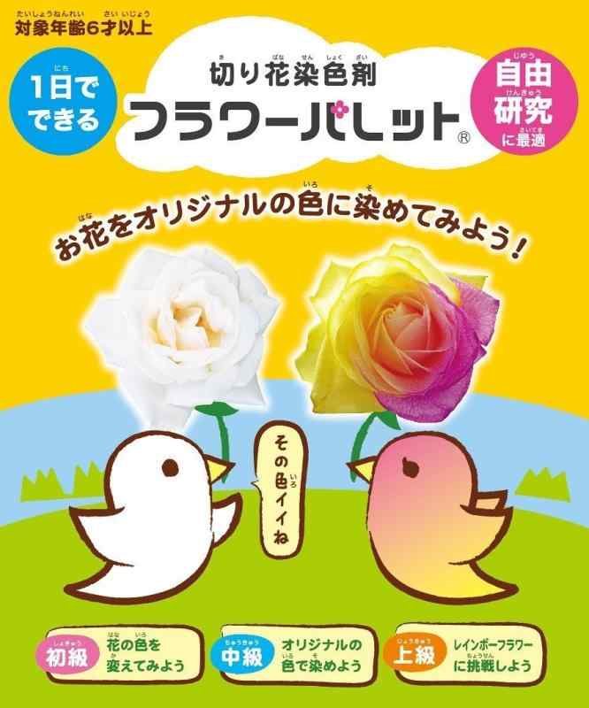 1日でできる自由研究 切り花染色剤 フラワーパレット