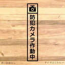 【録画中・防犯カメラ・迷惑行為防止・盗撮防止・盗難防止】縦長で大きめで分かりやすく防犯カメラ作動中ステッカー!【カッティングシール・カッティングシート】