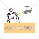 注意喚起!【防犯カメラ・録画中・撮影中】可愛くネズミさんで防犯カメラ作動中色付きシール☆【店舗用・自宅用・デパート・高級店】【コンビニ・モール・雑貨屋】