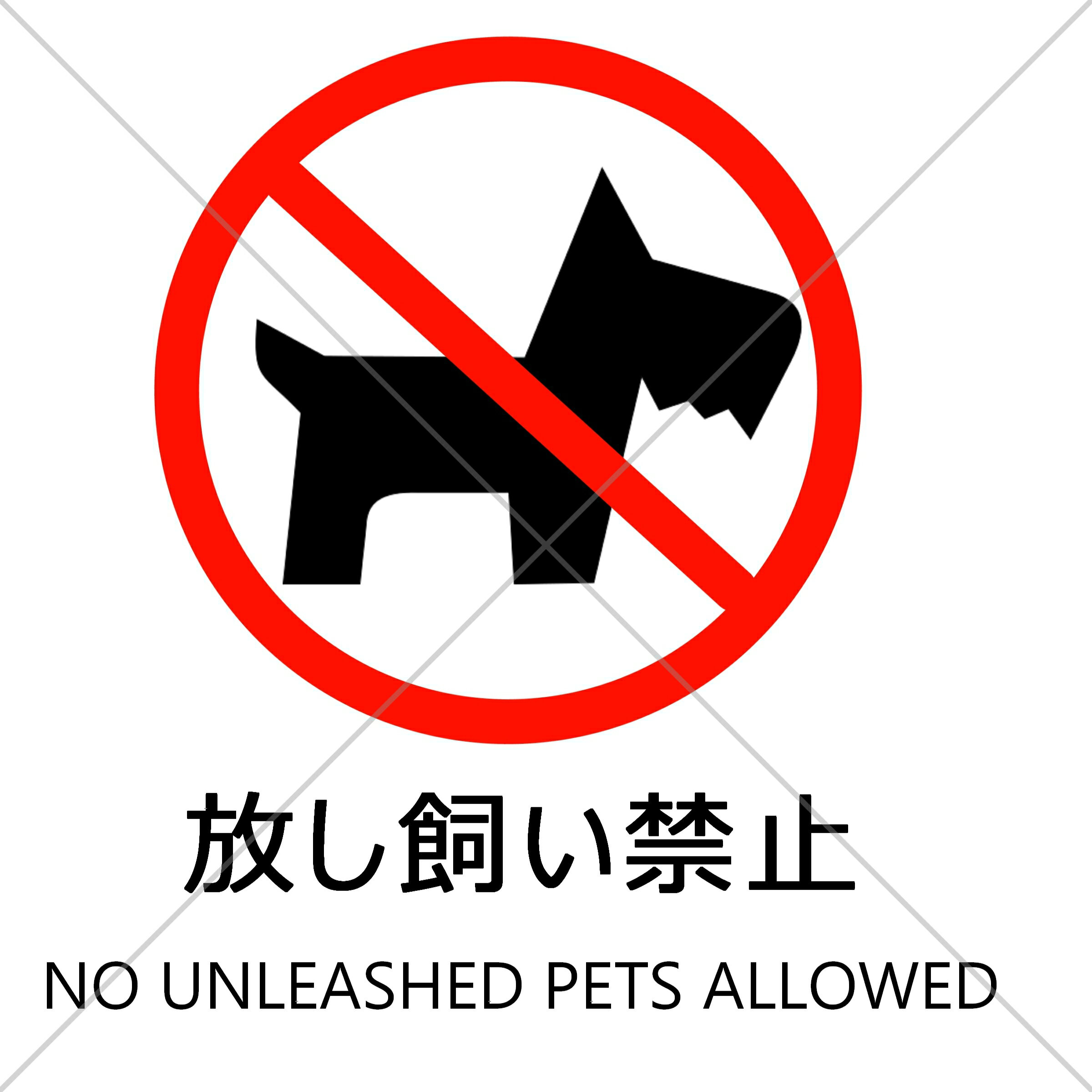 פв㤨մեեޡƻϩ褤γɤ䡢졢ࡢ͡Ź޳ŹŽäػ߿դƥåѸбŹѡ졦ۡڥǥѡȡ⡼롦ۡפβǤʤ680ߤˤʤޤ
