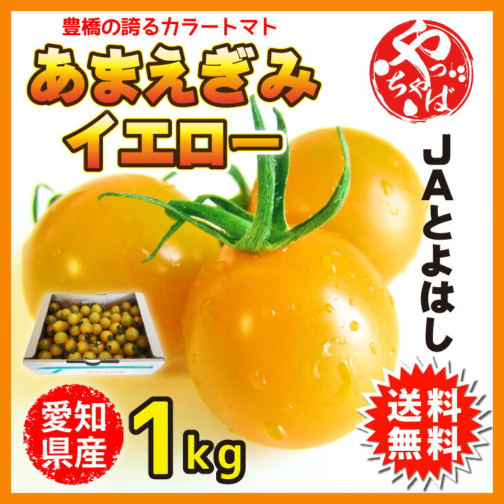豊橋自慢のカラーミニトマト　あまえぎみイエロー　愛知県産　JAとよはし　1kg　ミニトマト　送料無料