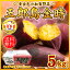 五郎島金時 5kg 加賀野菜 さつまいも 産地直送 送料無料 サツマイモ/焼き芋/石焼いも