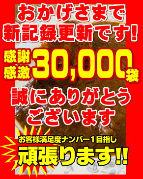 DEAL30％ポイントバック★超赤字覚悟SALE 当店最速★発売後10000袋最速完売！ 独自開発新商品 スパイシーキーマカレー 2パック入り 辛口 レトルトでは味わえない本格派 ポイント消化 お試し 送料無料 非常食 保存食