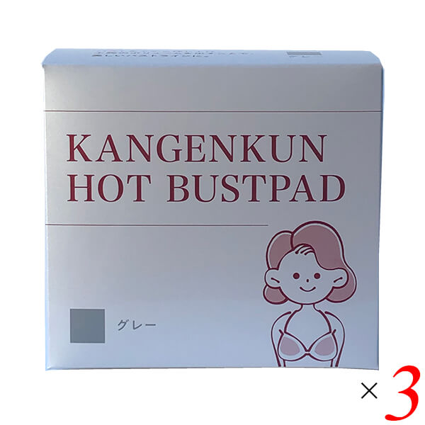 【BF限定!100円クーポン!学割2倍!】還元くんホットバストパット(1箱3組入り) 3個セット バストパッド ブラパッド レモン型 送料無料