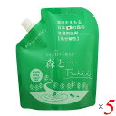 【マラソン限定!100円クーポン!学割2倍!】がんこ本舗 森と…Fukii 詰替パック450g 5個セット 洗濯洗剤 すすぎなし 液体(3)