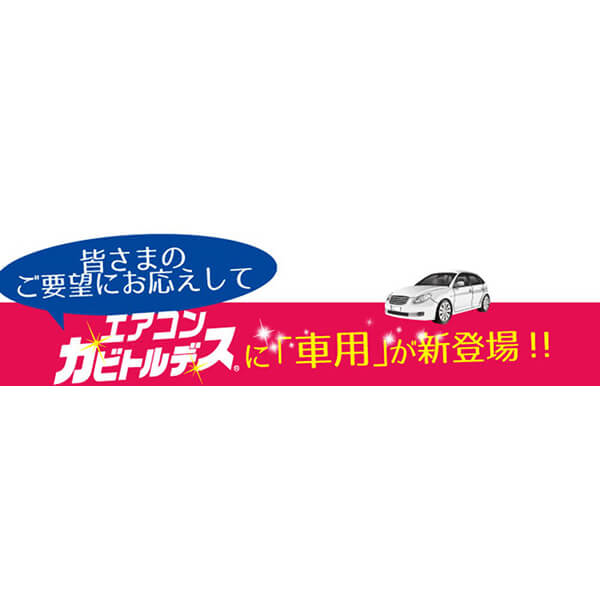 エアコン クリーナー スプレー エアコンカビトルデス車用 80mL 3本セット 送料無料