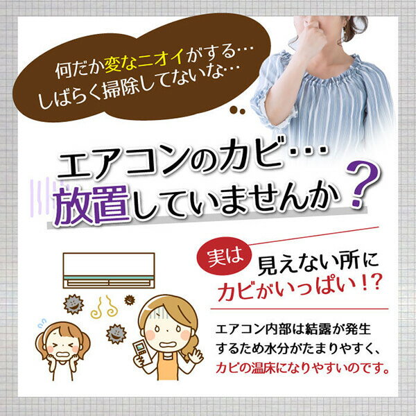 【マラソン限定！100円クーポン！学割2倍！】エアコン クリーナー スプレー エアコンカビトルデス 100mL